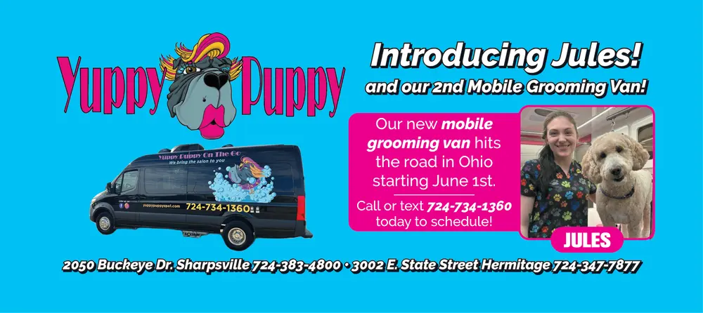 Coupons for Yuppy Puppy