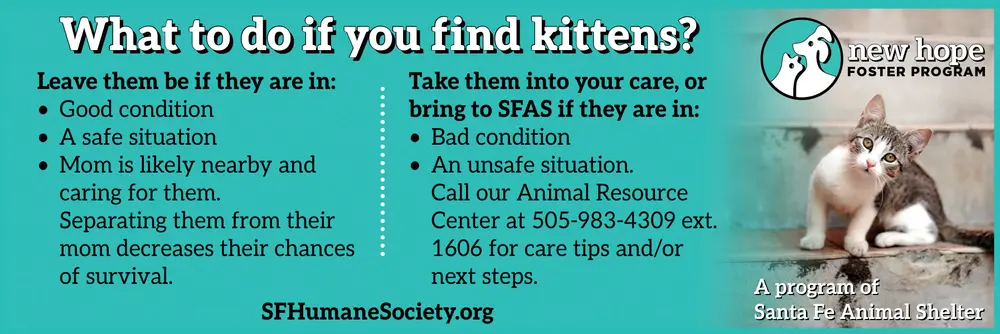 New Hope Foster Program