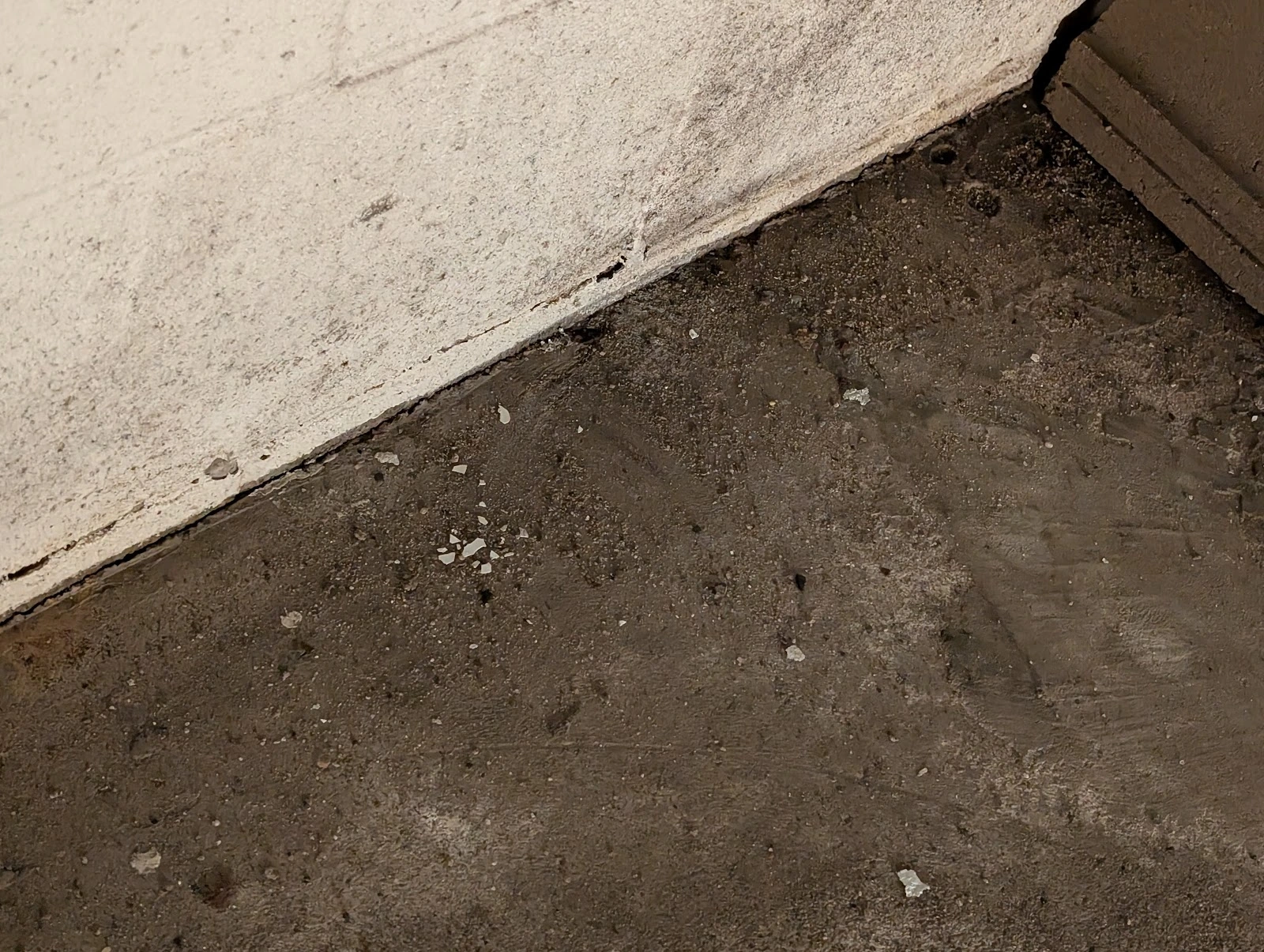 Roof-to-Deck Restoration