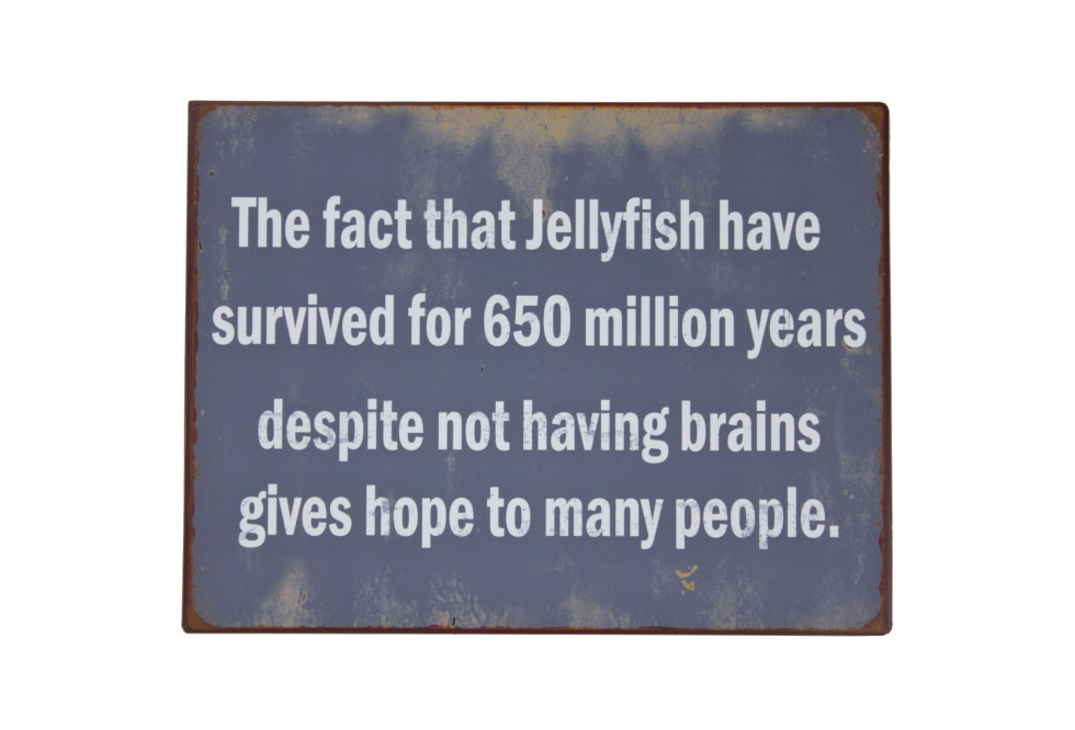 Moby Dick Specialties