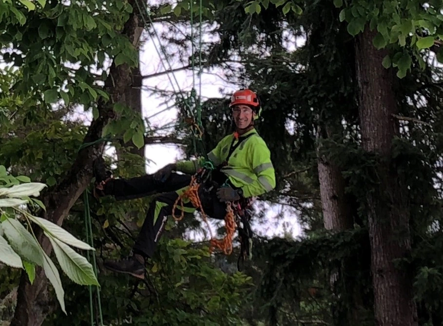 Tree133 Professional Arborists