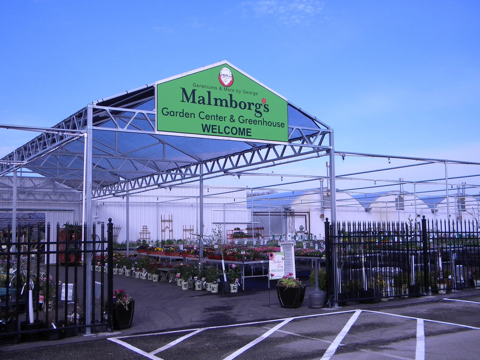 Maple Grove Tree and Shrub Care