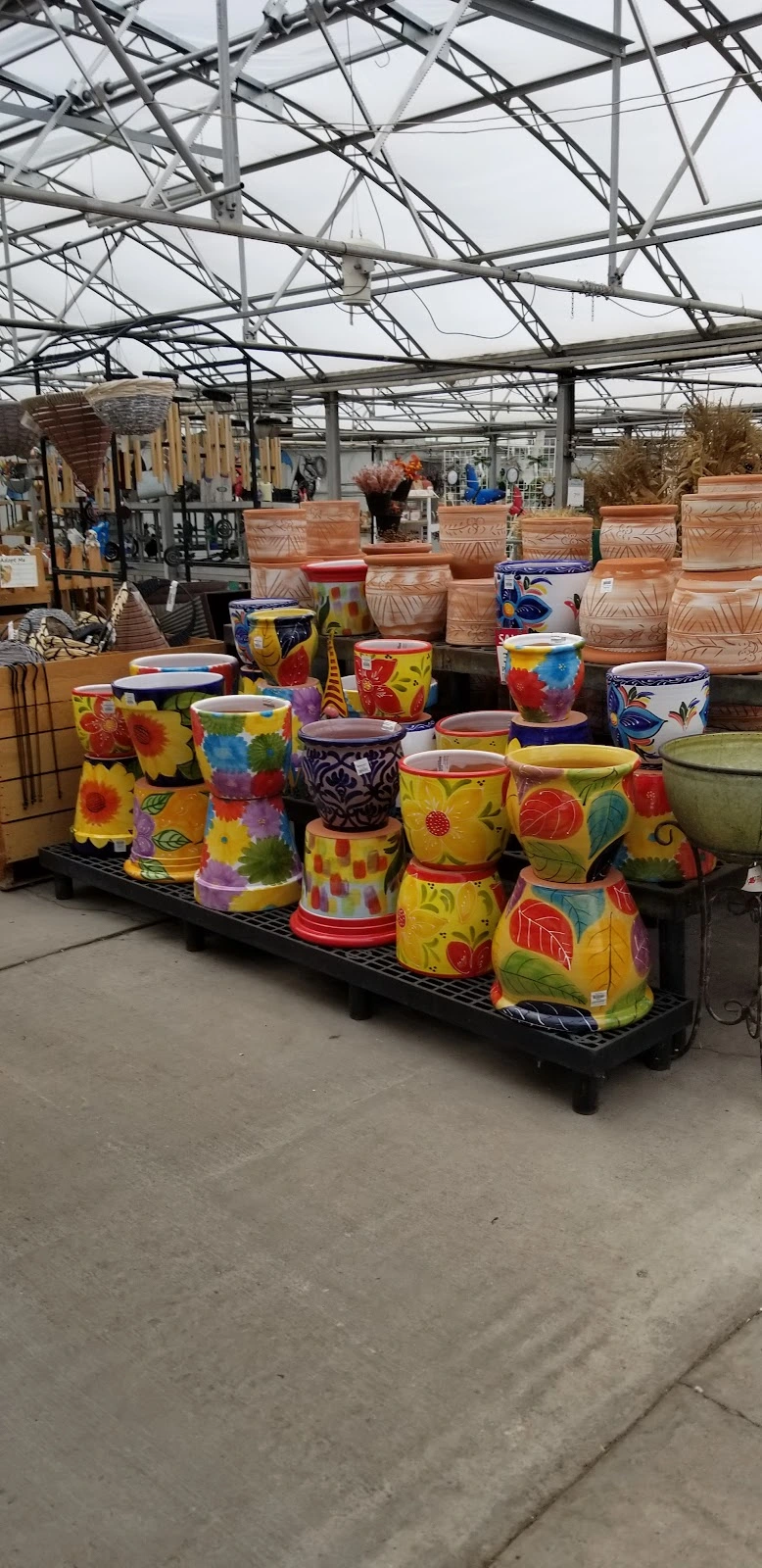 Maple Grove Tree and Shrub Care