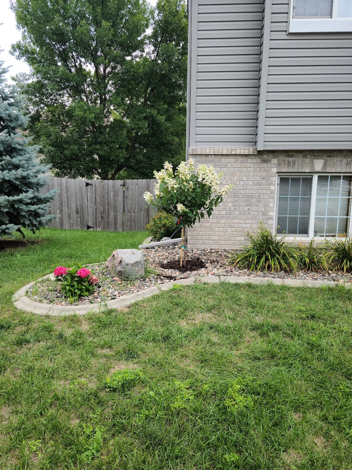 Maple Grove Tree and Shrub Care