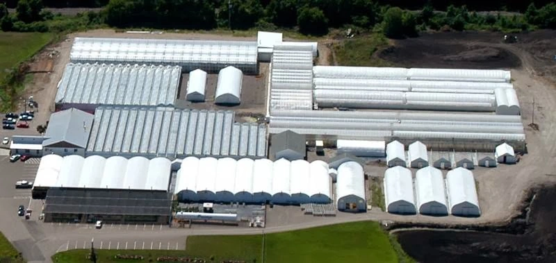 Maple Grove Tree and Shrub Care