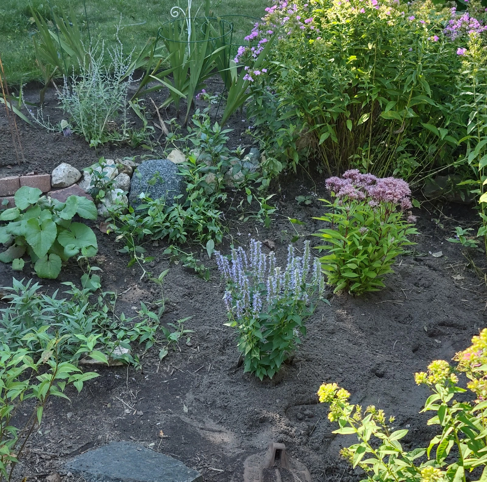 Maple Grove Tree and Shrub Care