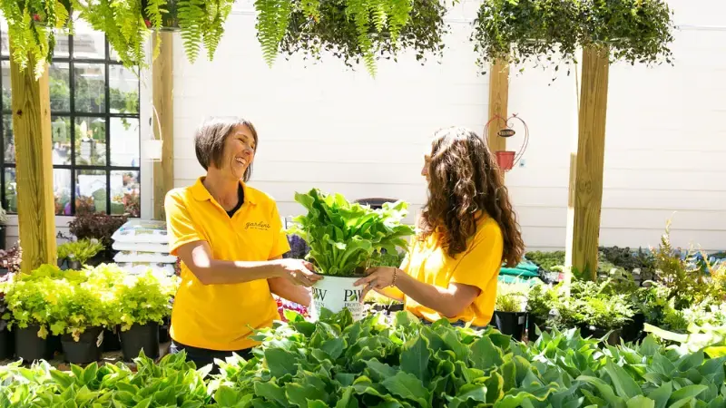 Elder's Ace Hardware