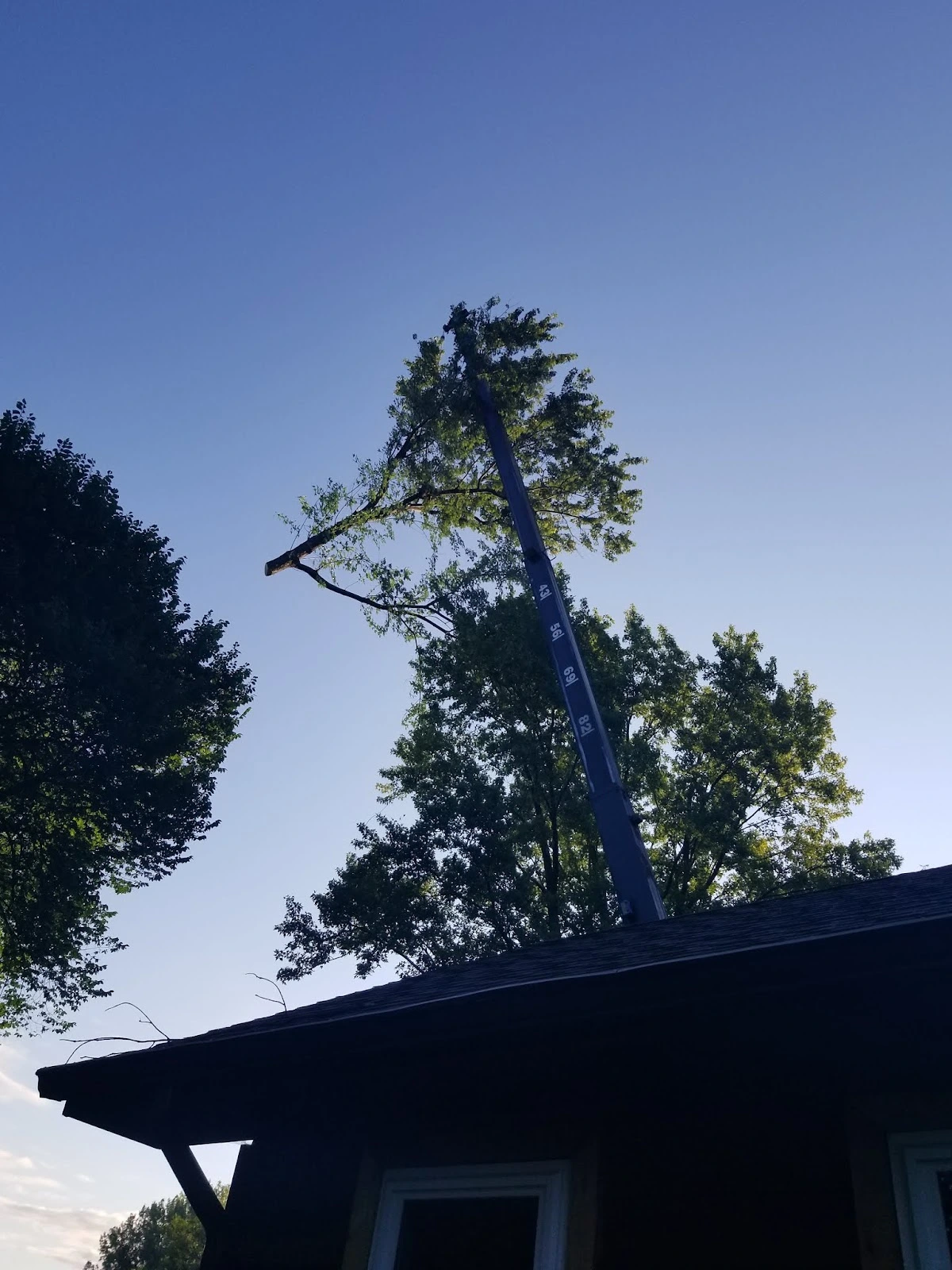 BJ Haines Tree Service