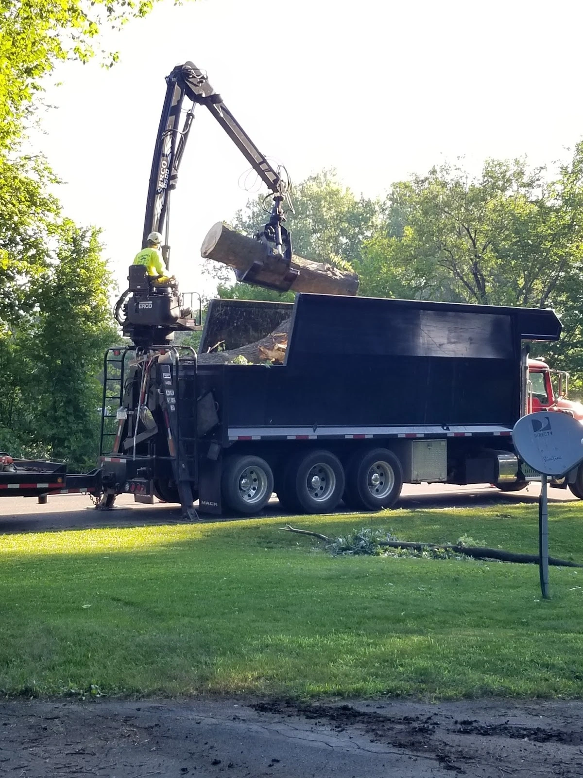 BJ Haines Tree Service