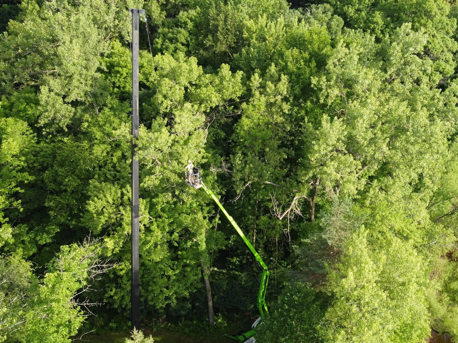 BJ Haines Tree Service