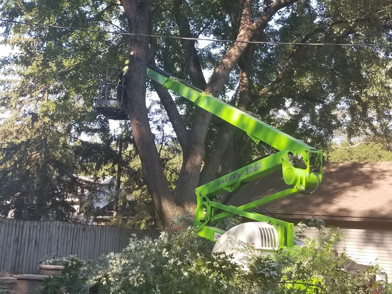BJ Haines Tree Service
