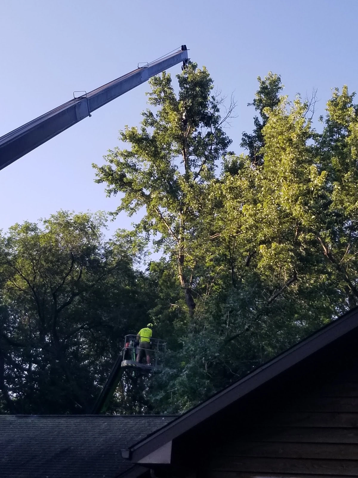 BJ Haines Tree Service