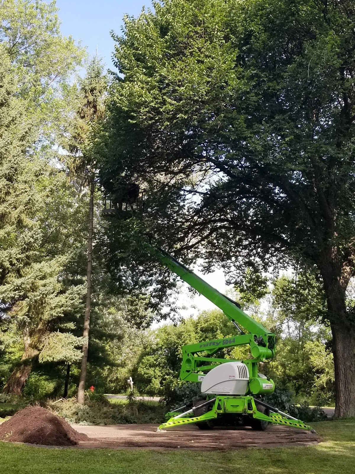 BJ Haines Tree Service