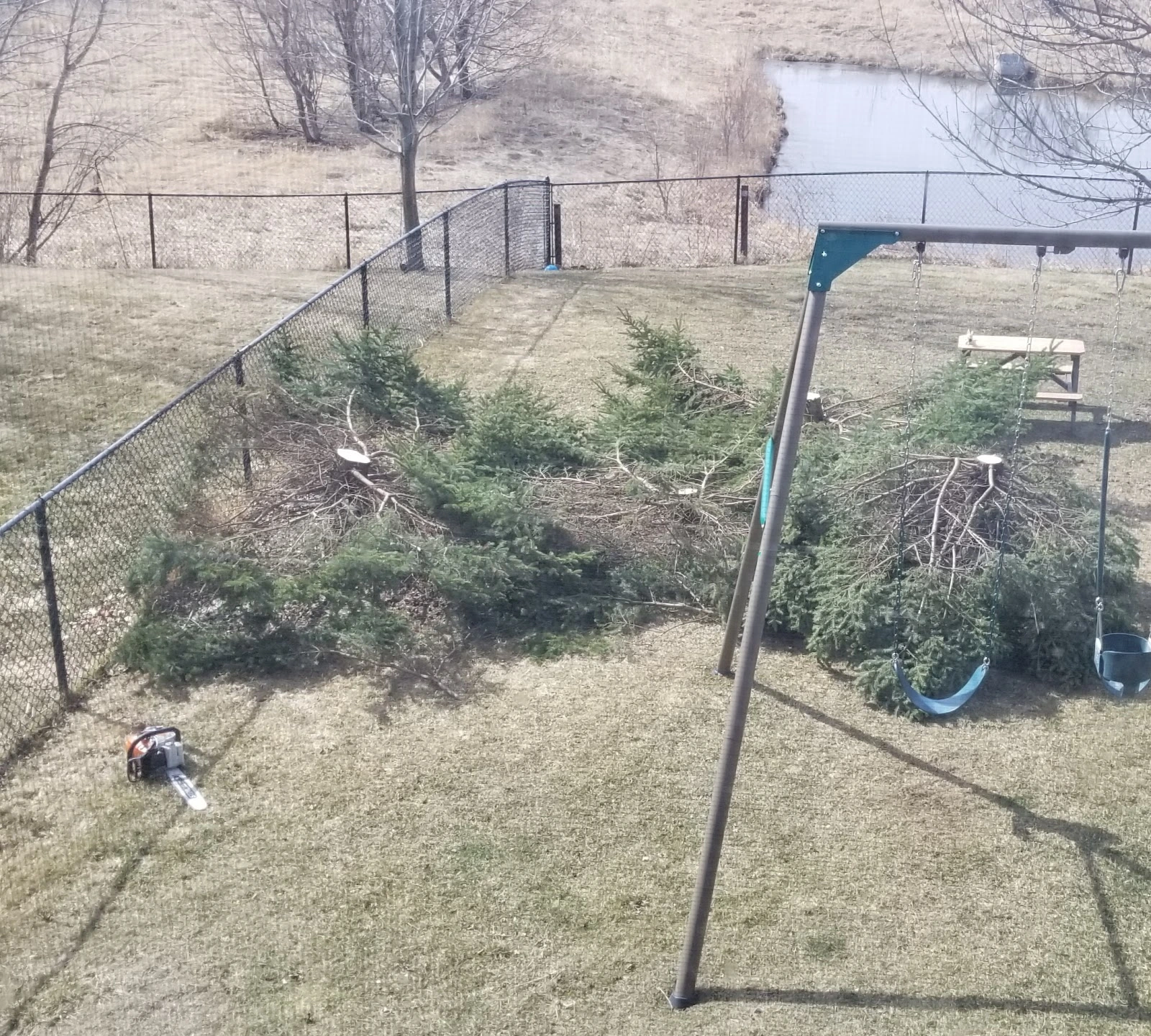 BJ Haines Tree Service