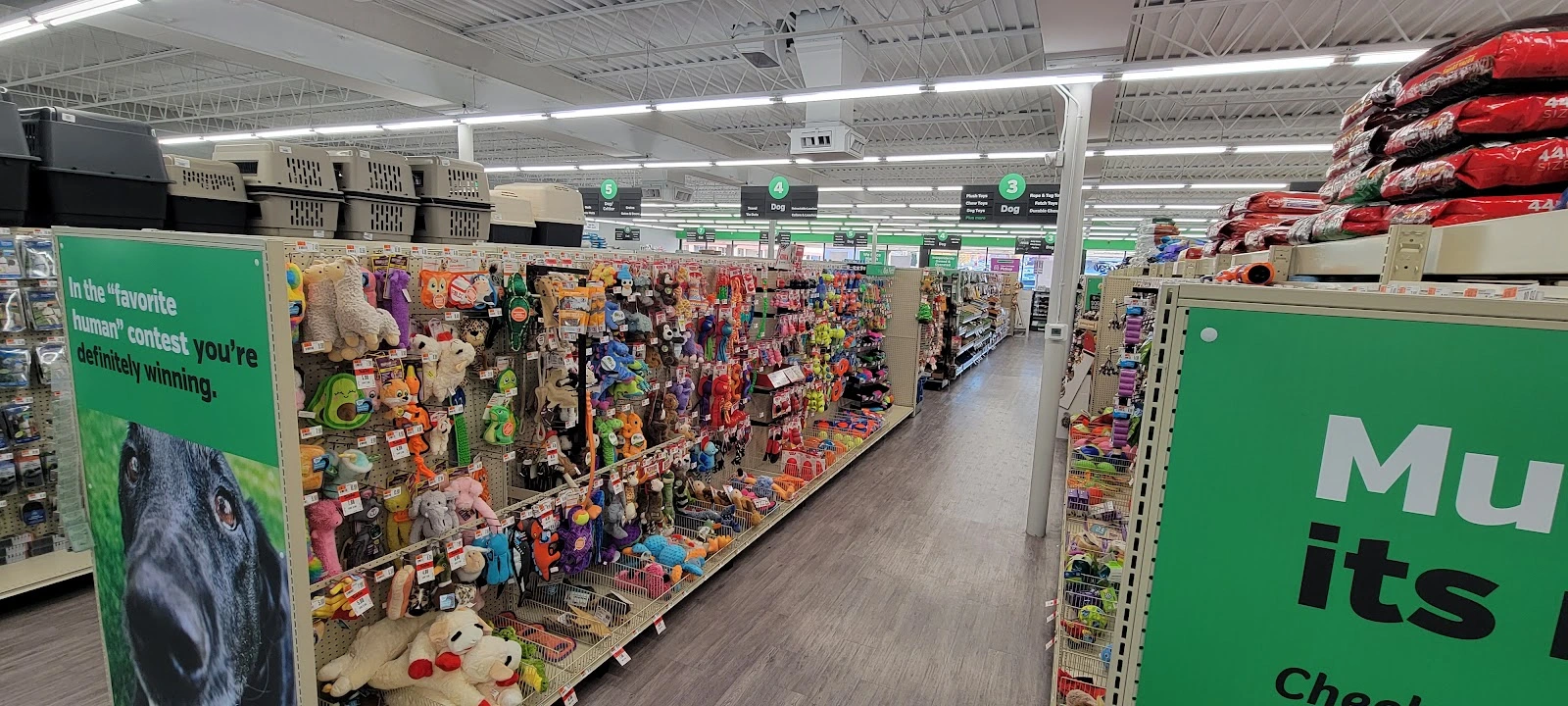 Pet Supplies Plus