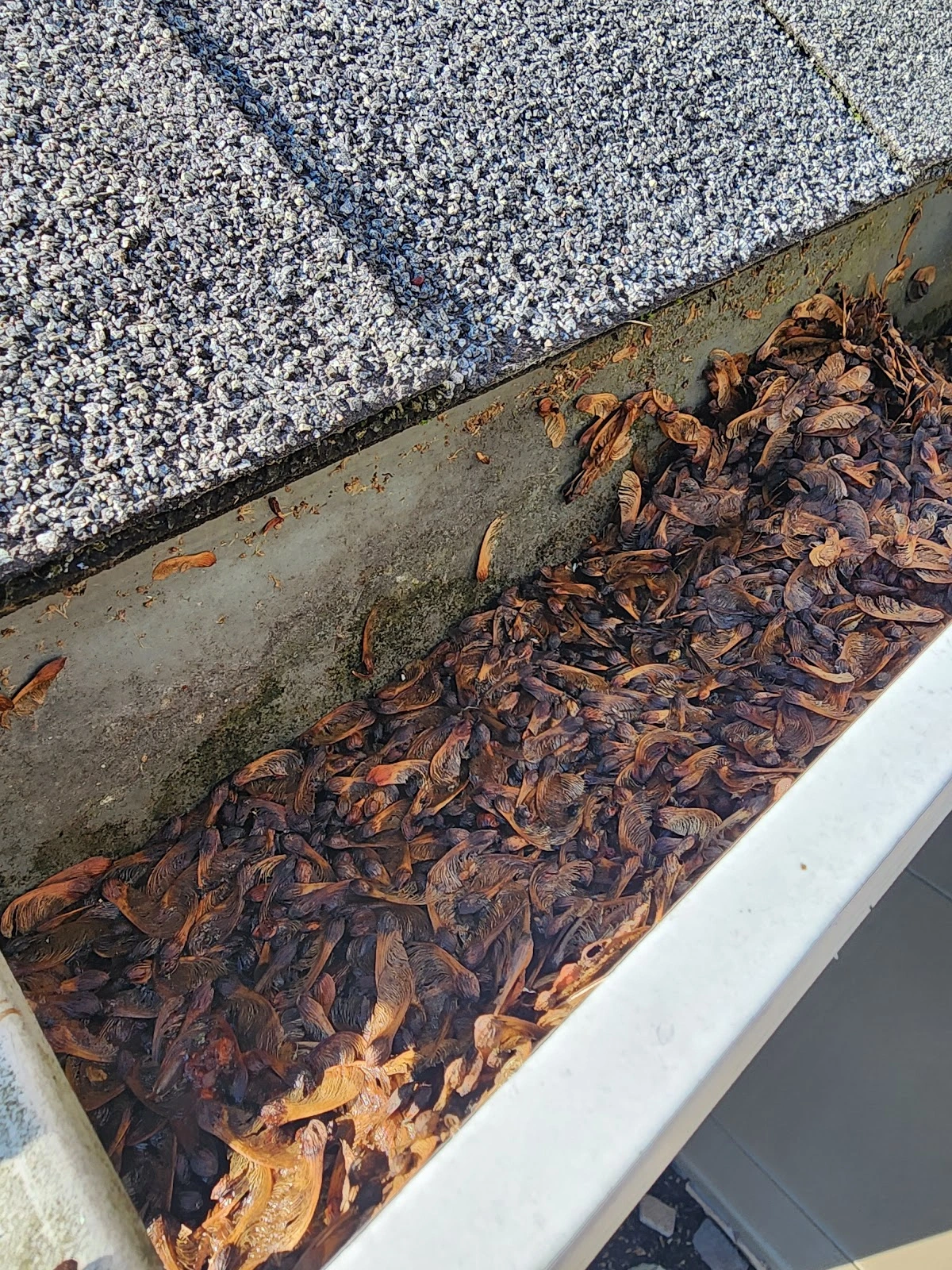 Gutter Clear LLC