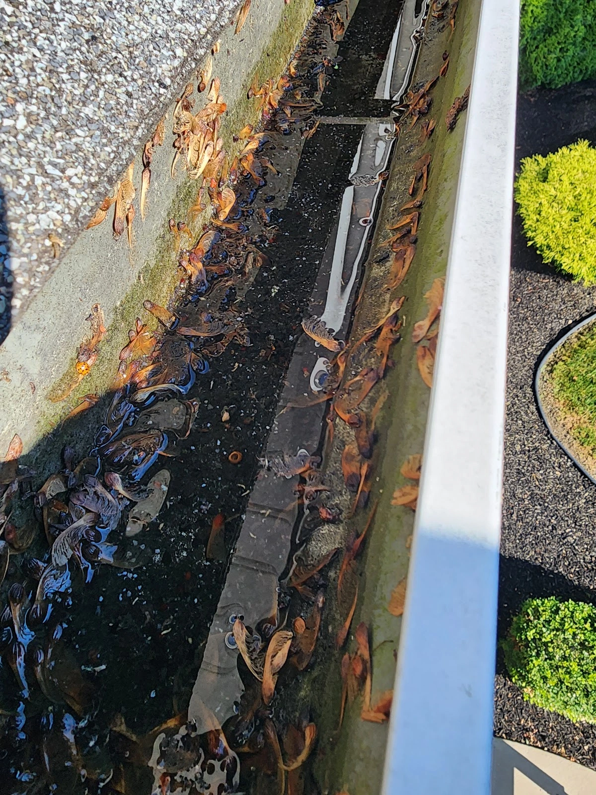 Gutter Clear LLC