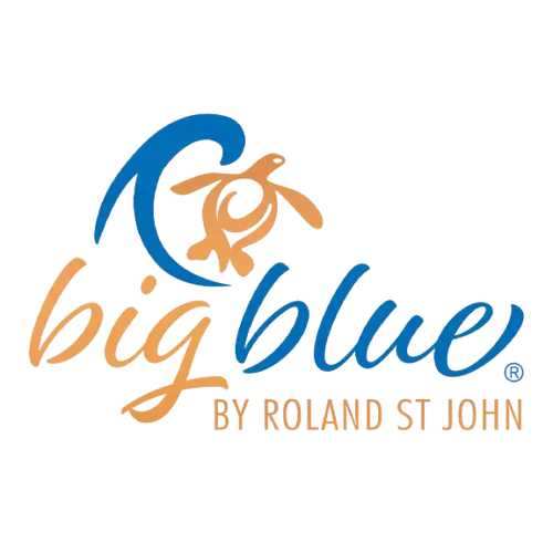Big Blue by Roland St John
