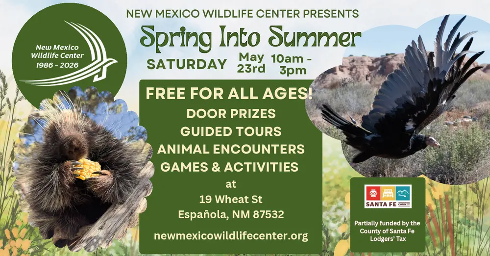 Spring into Summer Saturday May 23rd 10am - 3pm