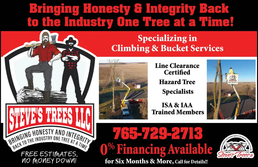Expert Tree Services in Indiana – Steve's Trees LLC