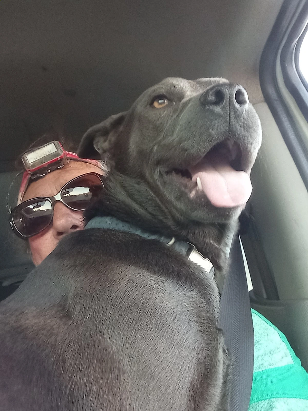 Bluegrass Veterinary Clinic