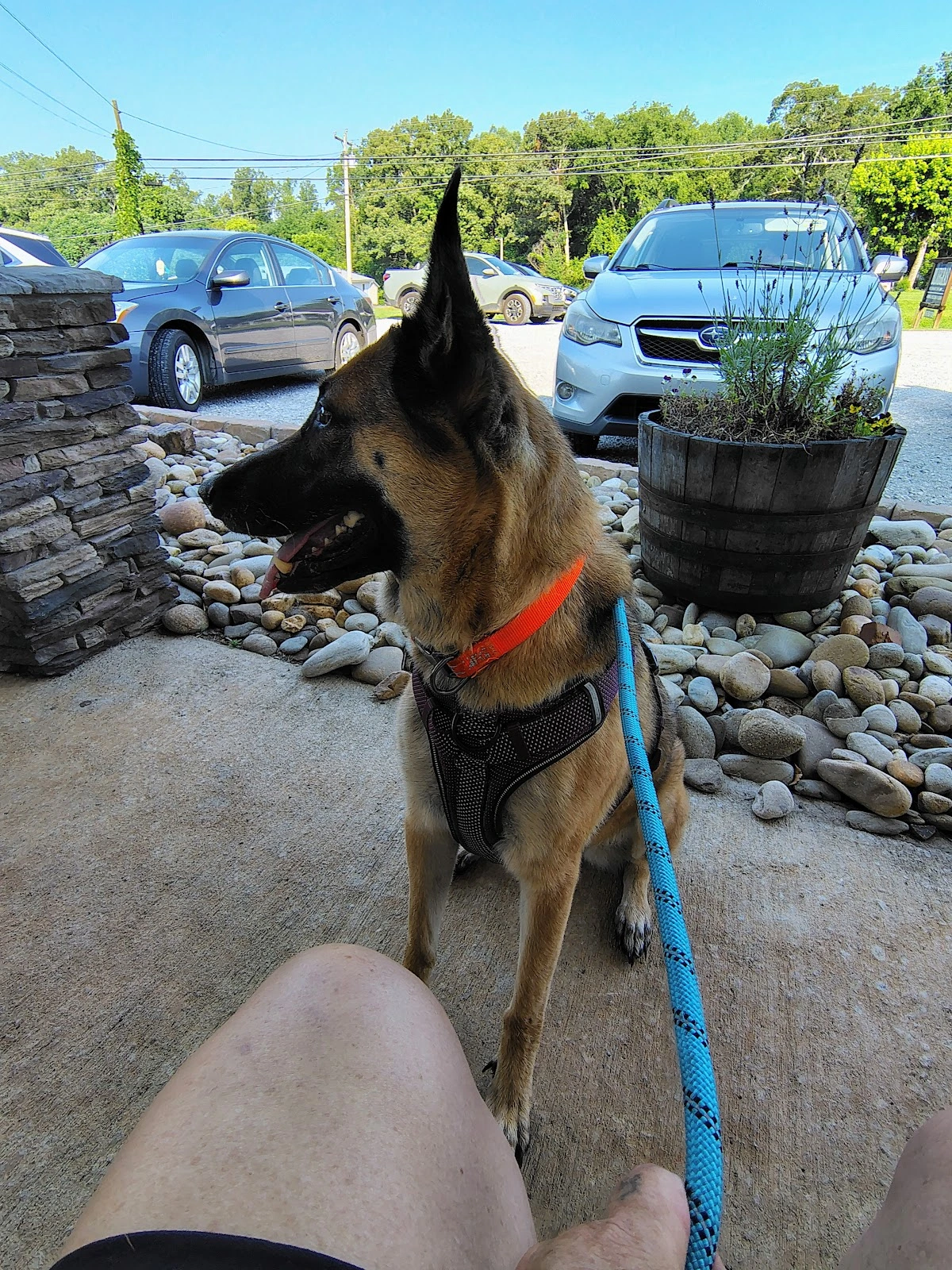 Bluegrass Veterinary Clinic