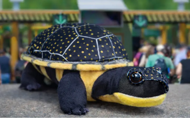 Soft Stuff Creations Inc.