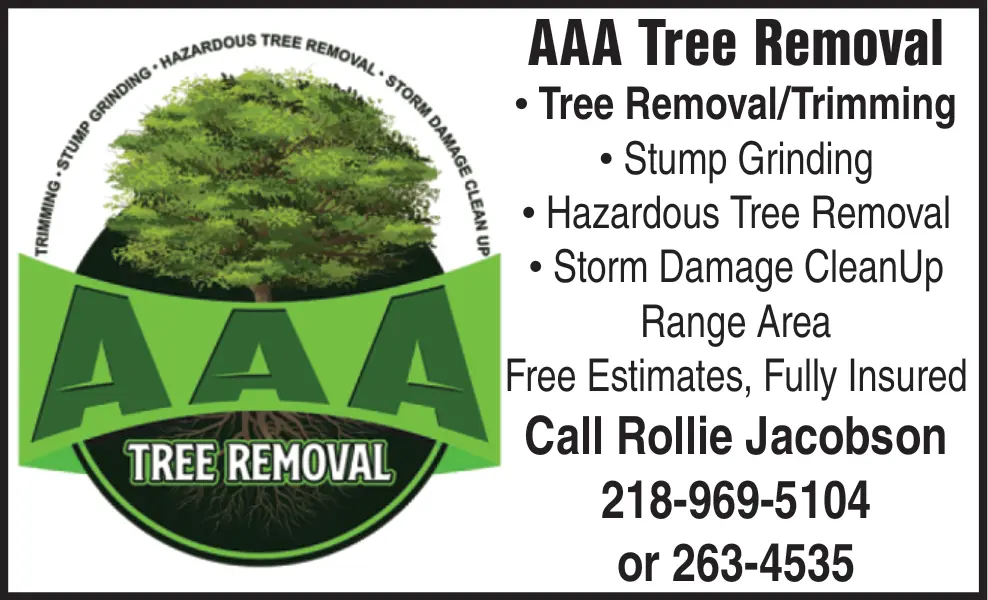 Professional Tree Removal & Trimming in Northern Minnesota