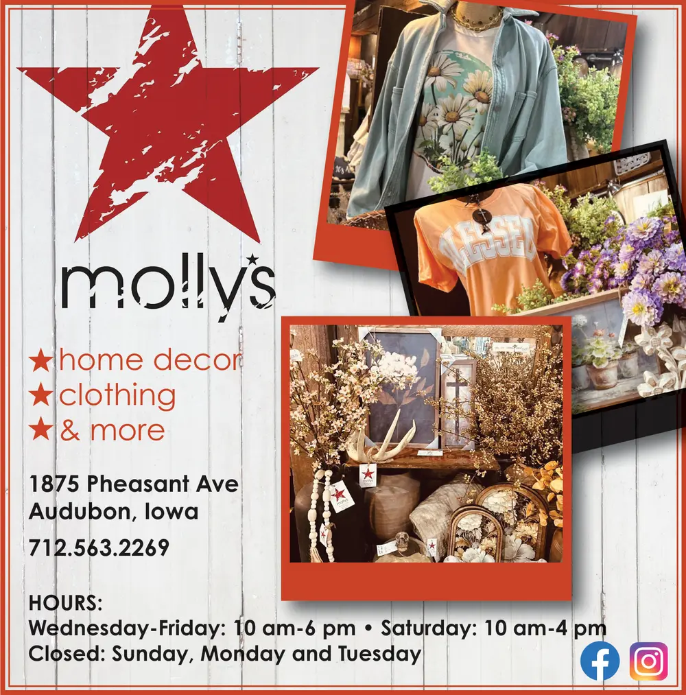 Shop Home Decor & Clothing in Audubon, Iowa at mollys