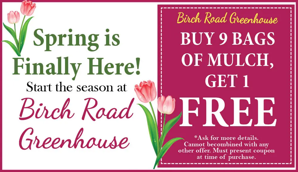 Birch Road Greenhouse – Indiana’s Premier Garden Center