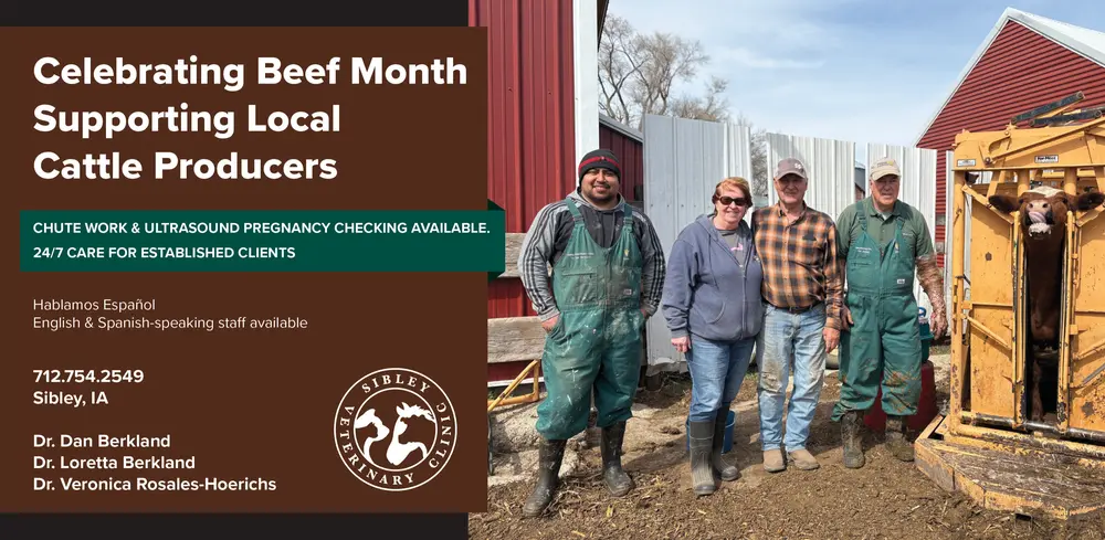 Veterinary Services for Cattle Producers in Sibley, IA