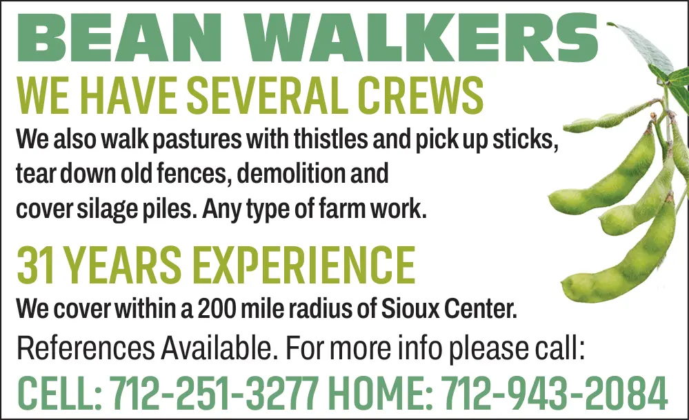 Farm Labor & Bean Walking Services in Sioux Center, Iowa