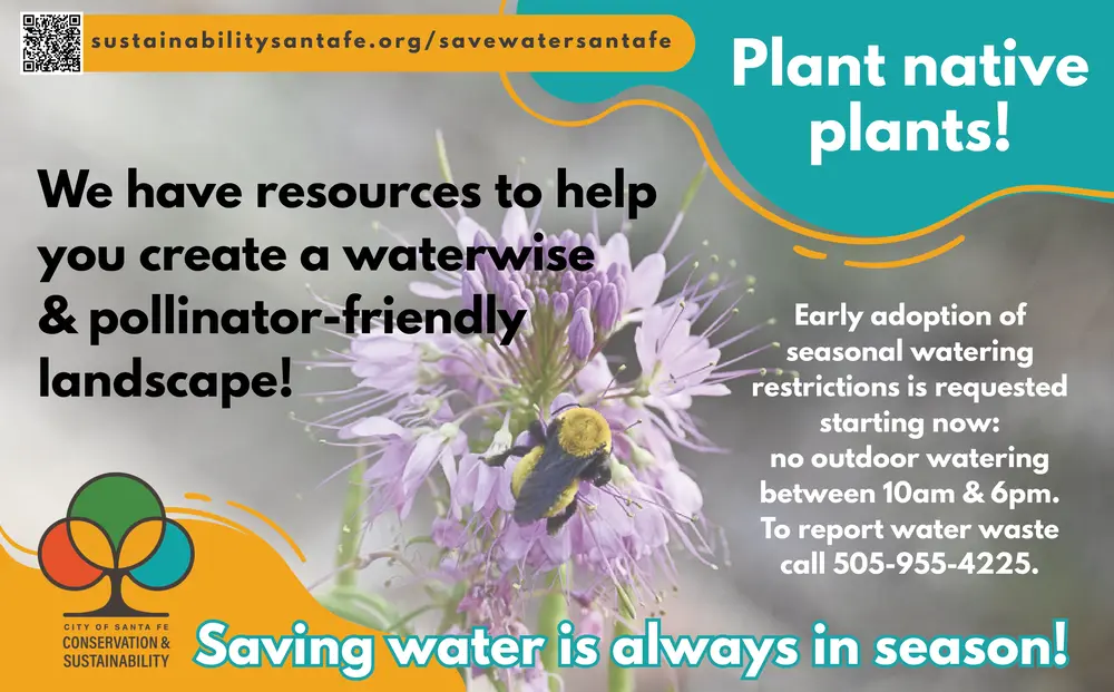 Plant native plants!