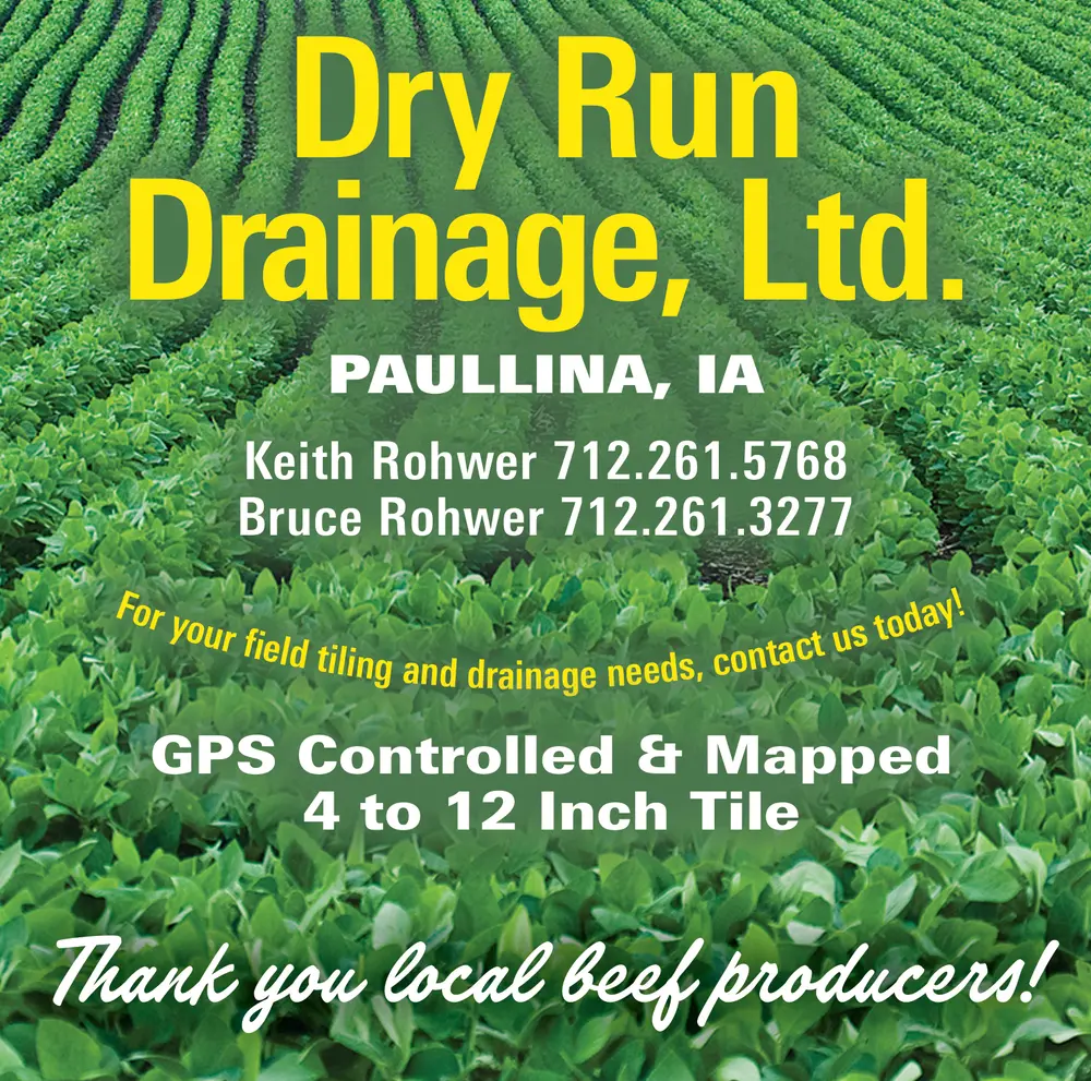 Expert Field Drainage & Tiling Services in Paullina, Iowa