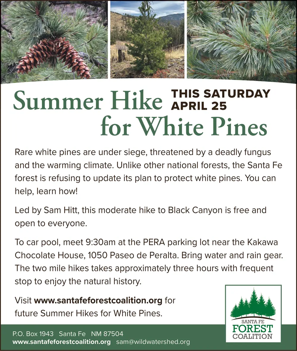 Summer Hike for White Pins April 25