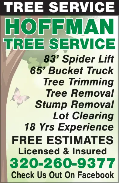 Professional Tree Removal & Trimming – Central Minnesota