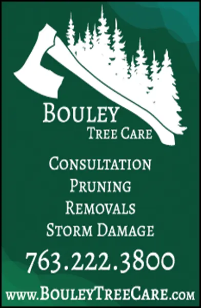 Expert Tree Care, Pruning & Removals in Central Minnesota