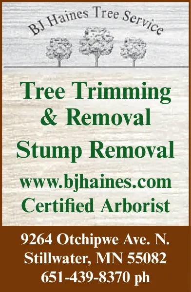 Tree Trimming and Stump Removal Experts in Stillwater, MN