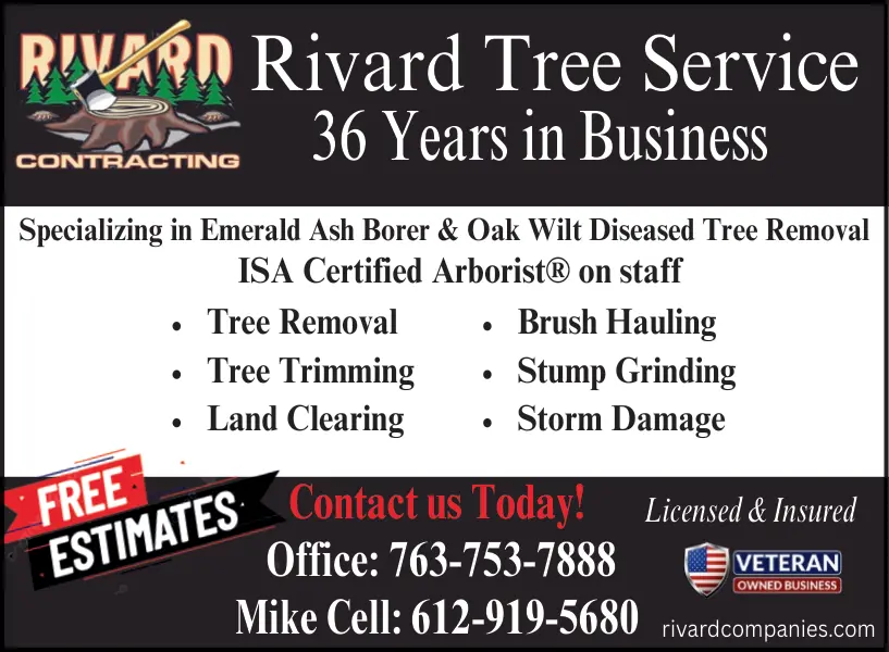 Expert Tree Removal & Stump Grinding in Central Minnesota
