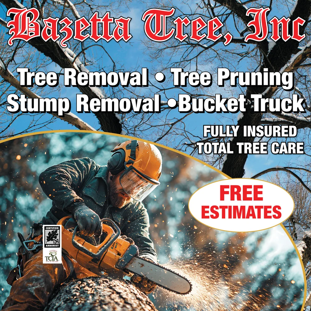 Coupons for Bazetta Tree, Inc.