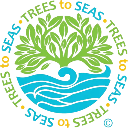 Trees to Seas